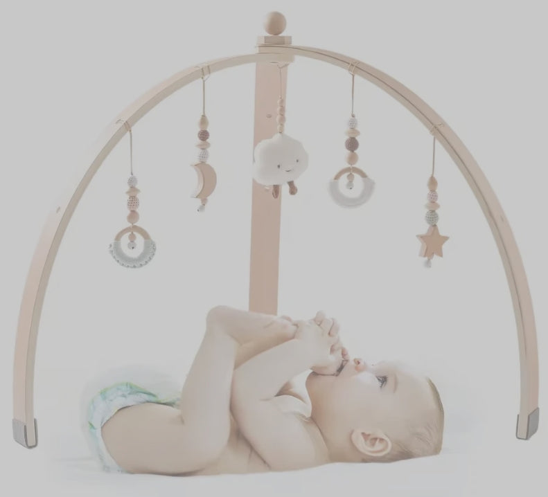 Baby Timmy Design Spielbogen