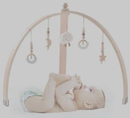 Baby Timmy Design Spielbogen